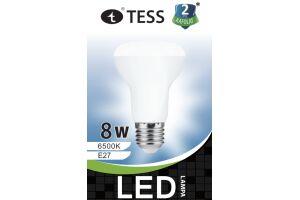 Лампа светодиодная энергосберегающая T-R63 8W E27 6500K