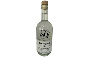 Напиток пивной Gin Tonic 7% 0.5л
