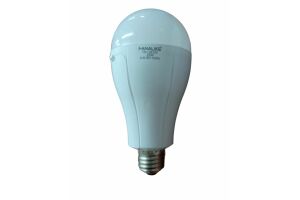 Лампа светодиодная LED - 20W FANALIKE FN-5819C