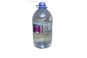 Вода питьевая бутилированная негазированная Family FW 5,0l