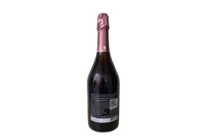 Вино игристое полусухое розовое Chateau TAMAGNE 10,5-12.5% 0.75л.