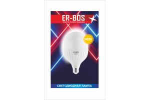 Лампа светодиодная ER-BOS А80 40W 6500K