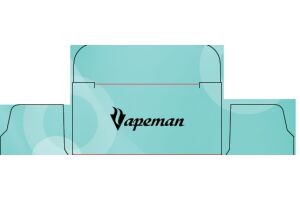 Электронная сигарета Vapeman B6000 Cool Mint 18 мл 50 мг