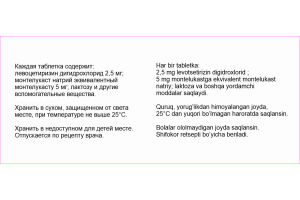 Левмонте-Кид таблетки диспергируемые в полости рта 2,5 мг+5 мг №100