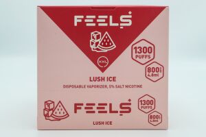 Электронная сигарета «FEELS» LUSH ICE XXL 4.8мл 50мг