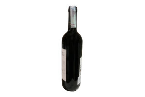 Вино красное, сухое  Pinot Nero Igr Trevenezie 12.5% 0.75 л
