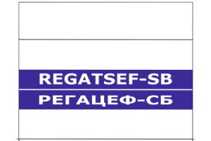 РЕГАЦЕФ-СБ, Порошок для приготовления раствора для инъекций 1 г + 0.5 г №1