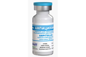 Ампициллин порошок для приготовления инъекционного раствора 1000 мг. №1