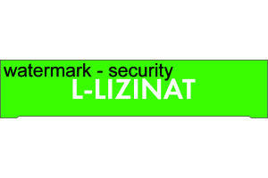 Л-Лизинат концентрат для приготовления раствора для инфузий 1 мг/мл 5 мл №10