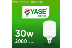 Лампа светодиодная энергосберегающая YASE ELECTRIC YA-56 30W 6500K