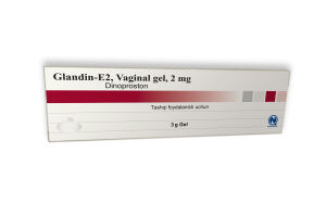 ГЛАНДИН-Е2 гель вагинальный 2 мг/3 г №1