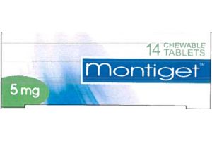 Монтигет таблетки жевательные 5 мг №14