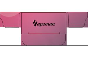 Электронная сигарета Vapeman B6000 Grape Wine 18 мл 50 мг