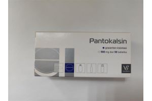 Пантокальцин таблетки 500мг №50