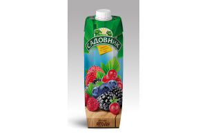 Напиток безалкогольный  со вкусом лесных ягод негазированный «ЛЕСНЫЕ ЯГОДЫ»