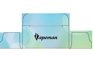 Электронная сигарета Vapeman B6000 Watermelon Mint 18 мл 50 мг
