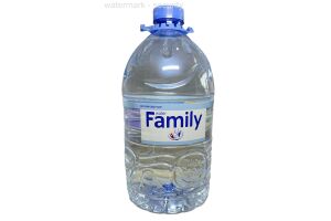Вода питьевая бутилированная негазированная Family FW 5,0l
